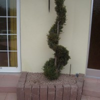  - Massif et plantation