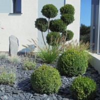  - Massif et plantation