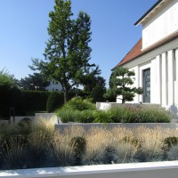  - Massif et plantation