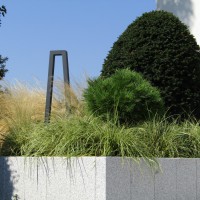  - Massif et plantation