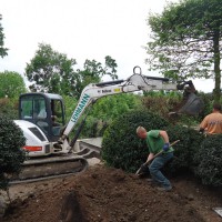  - Massif et plantation