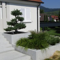  - Massif et plantation