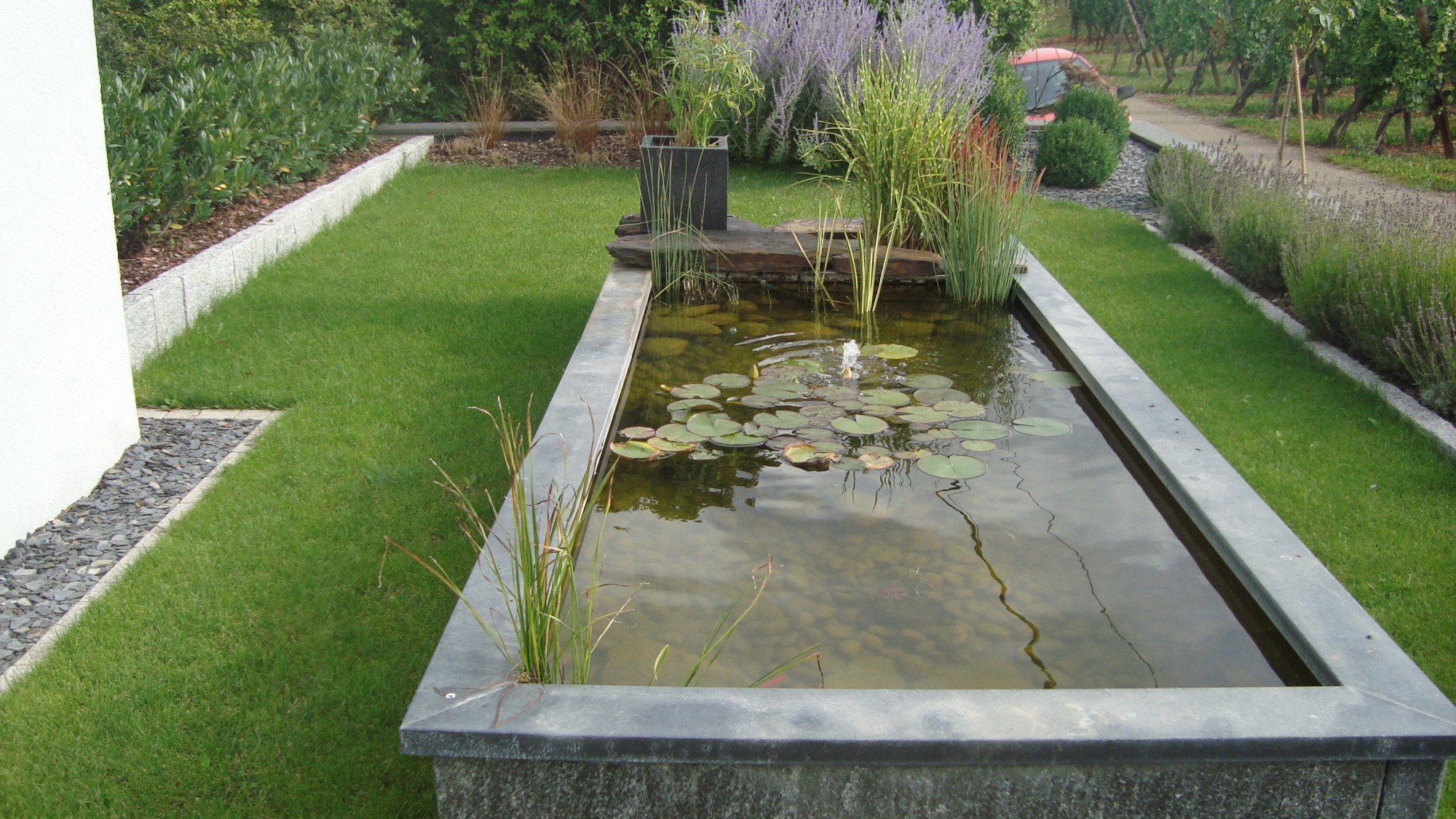 L'entretien du bassin de jardin